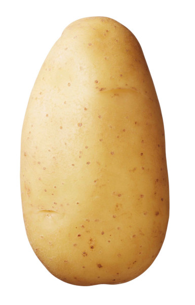 BIO Saatkartoffel 'Erika 1 kg' - Kartoffeln - Samen-Mauser