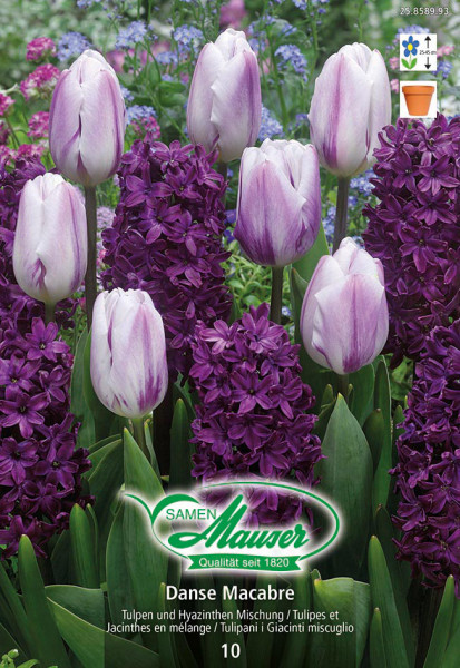 Tulipe Triomphe en mélange botanic® - 25 bulbes : Bulbes de fleurs Botanic®  jardin - botanic®