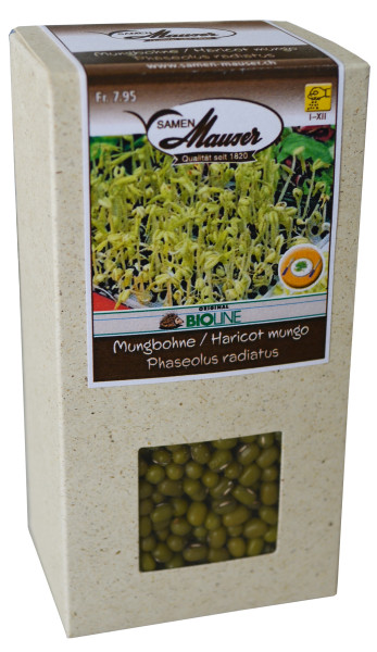 Graines à germer de Haricot Mungo - 840 graines - Phaseolus aureus – Garden  Seeds Market