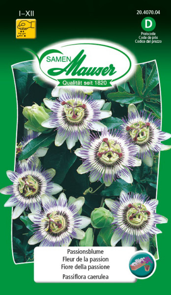 Fleur de la passion - Graines de fleurs / Plantes vivaces - Samen-Mauser