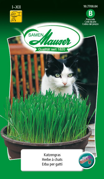 Vente en gros graines herbe de chat pour chaque espèce animale