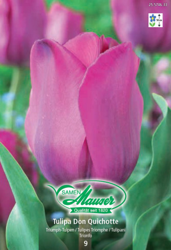 Ballerina, Tulipe à fleur lis, 9 bulbes - Bulbes à fleurs automne / Tulipes  - Samen-Mauser